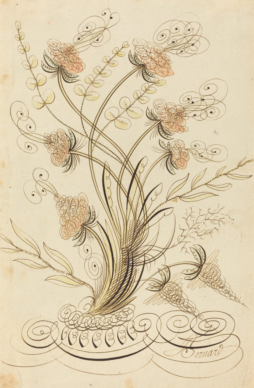 Fleurs calligraphiques - Jean Joseph Bernard called Bernard de Paris