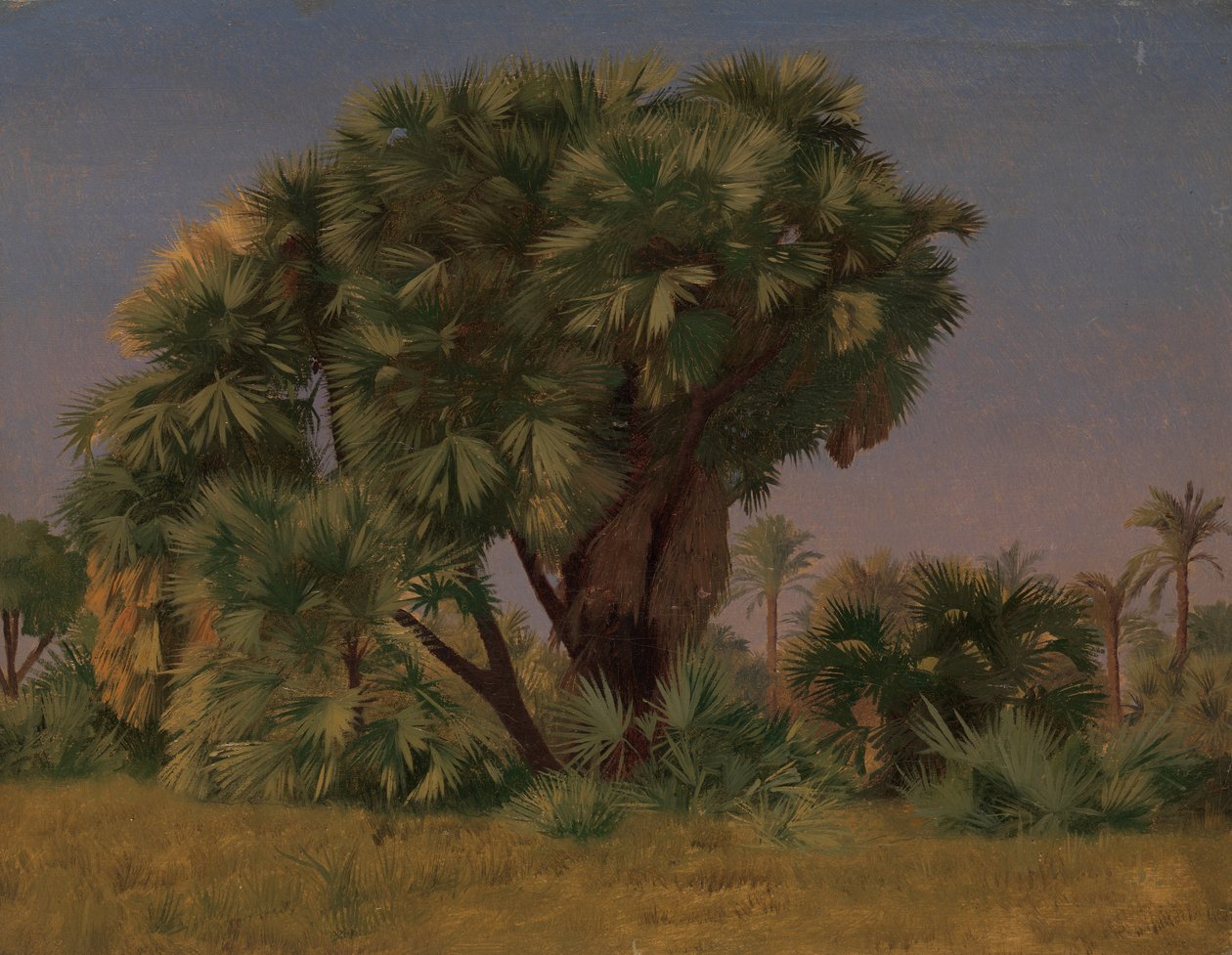 Étude de palmiers, probablement 1868 - Jean Leon Gerome