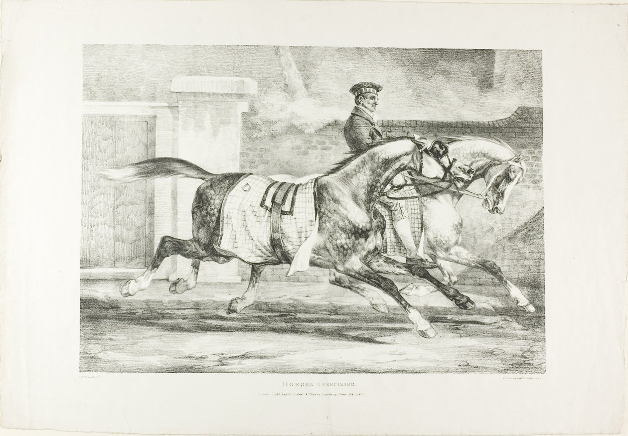 Chevaux à l