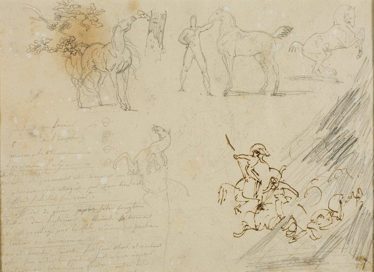 Croquis de chevaux, d