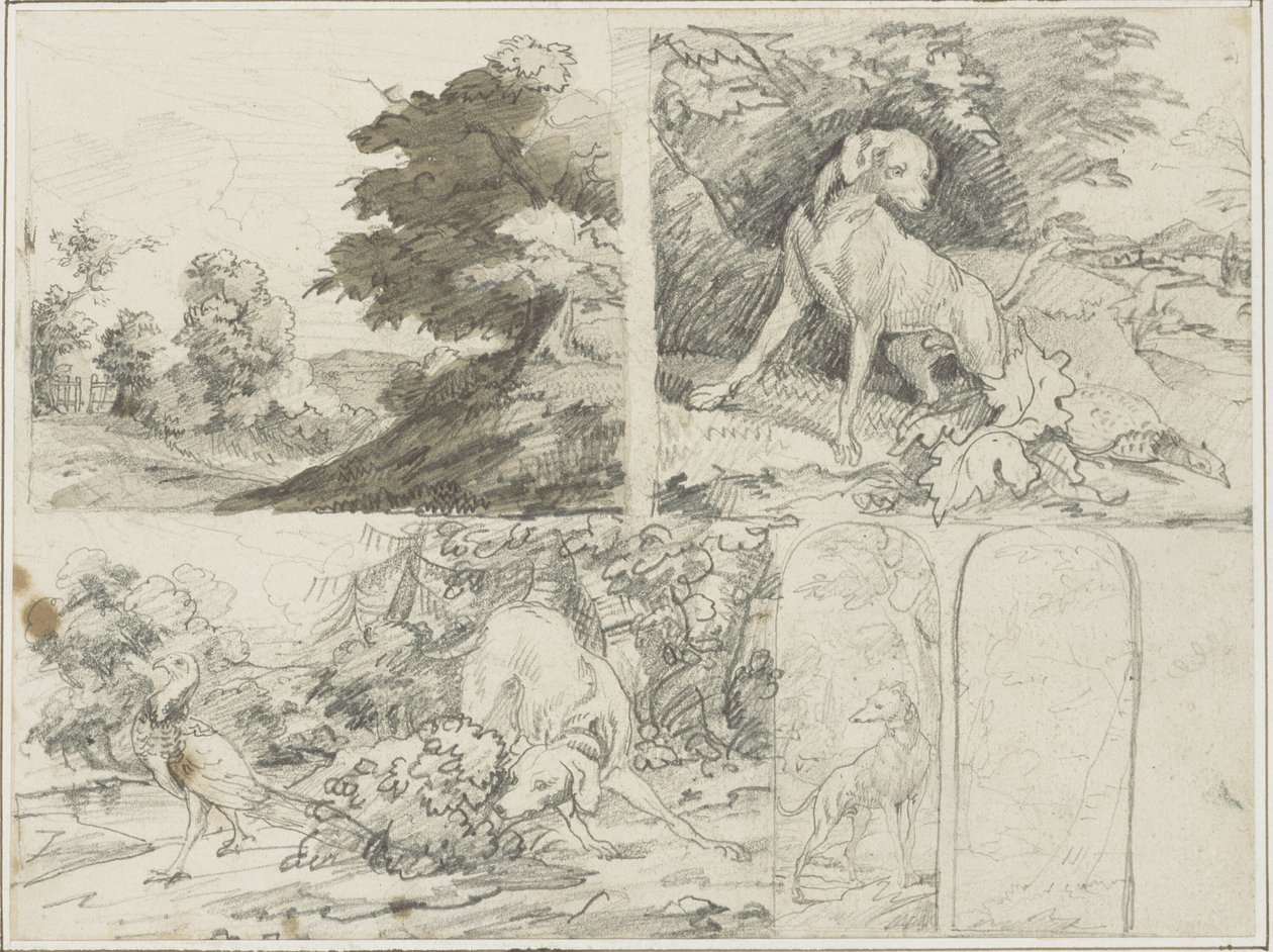 Croquis d