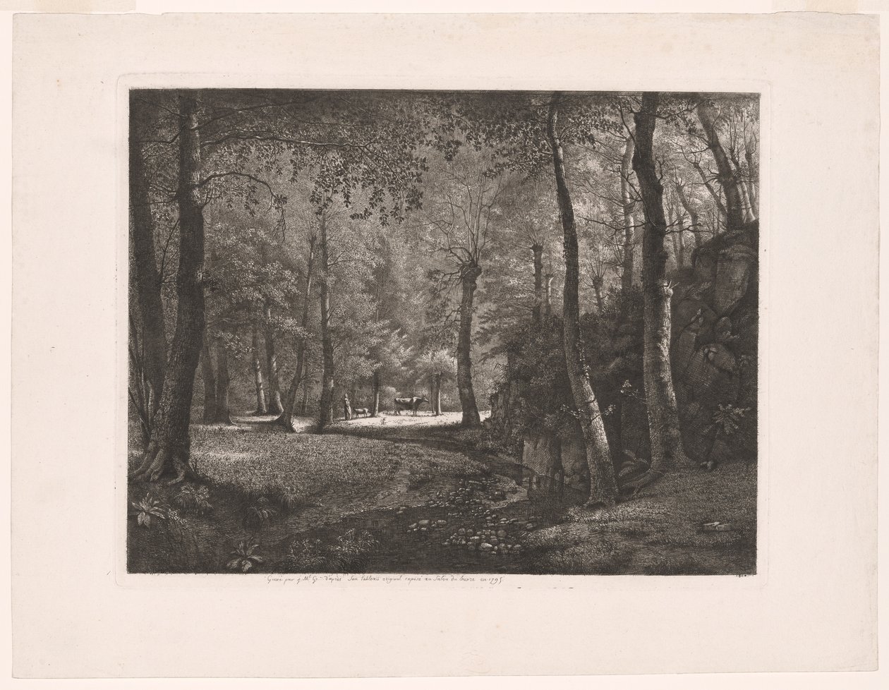 La forêt de Rochecardon - Jean Michel Grobon