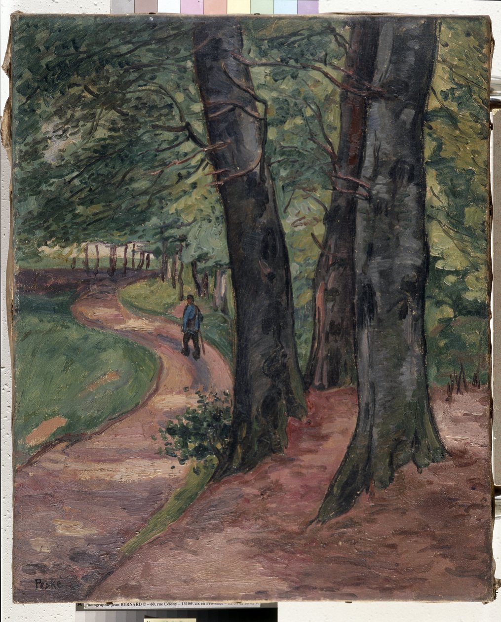 Le bord de la forêt d