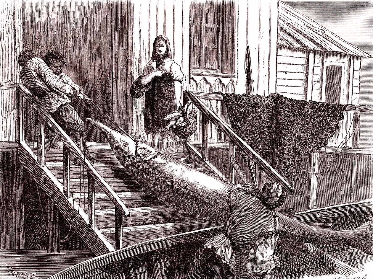 Pêche de l