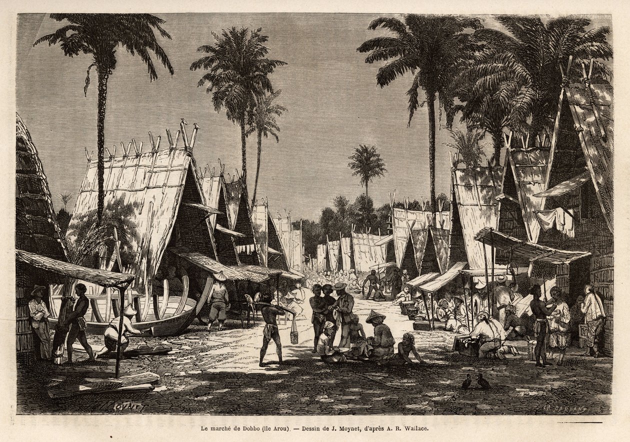 La marche de Dobbo, sur l