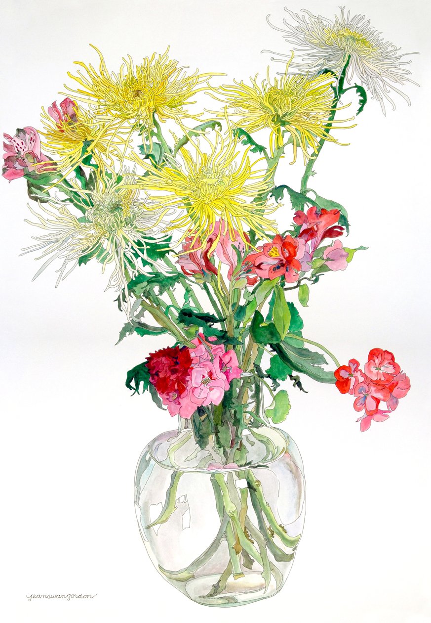Spider Mums - Jean Swan Gordon