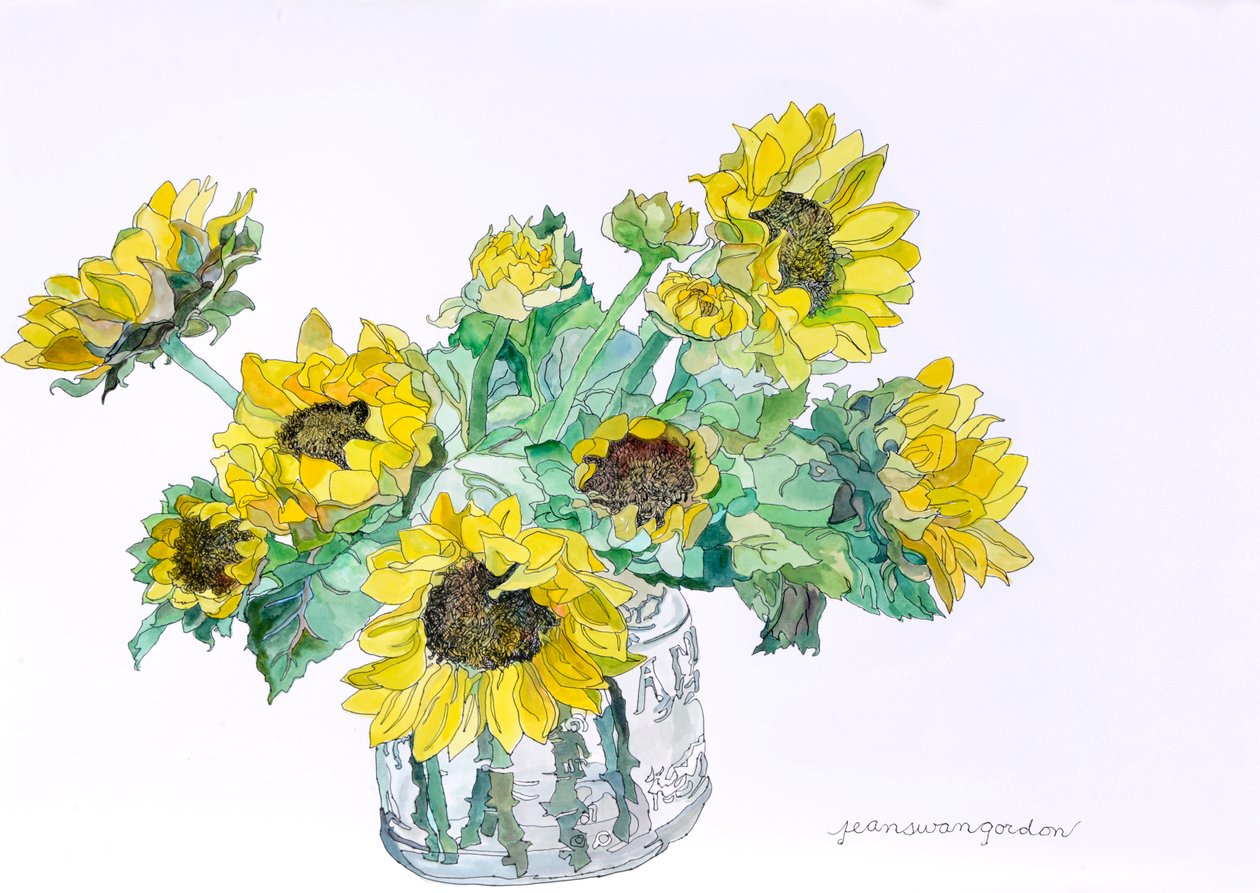 Tournesols, 2007 (aquarelle et encre sur papier) - Jean Swan Gordon