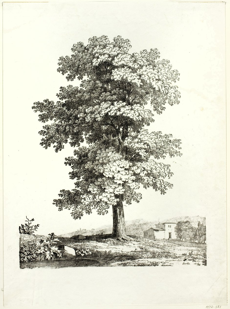 Étude d