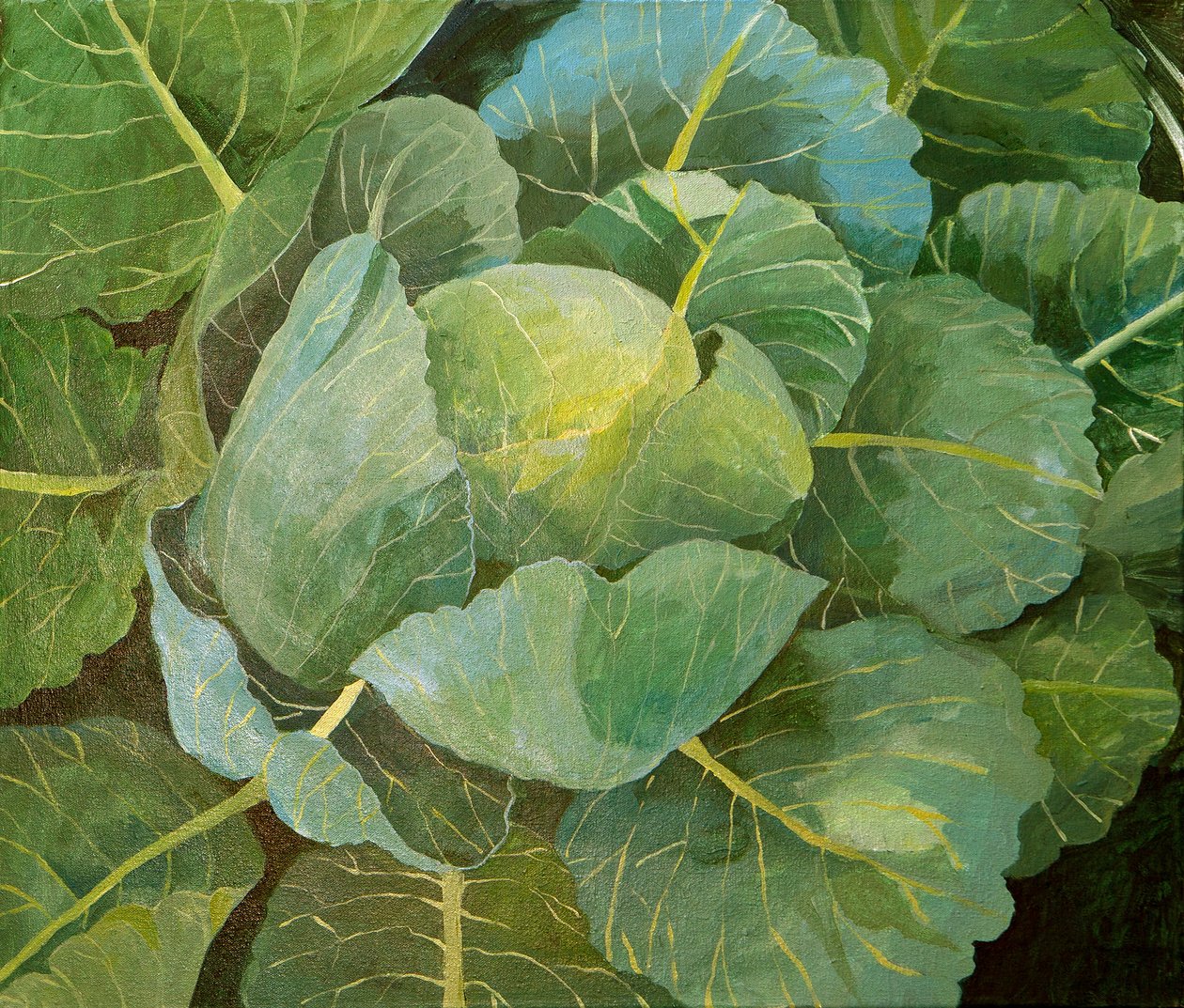 Chou (bleu), 2014 (acrylique sur toile) - Jennifer Abbott