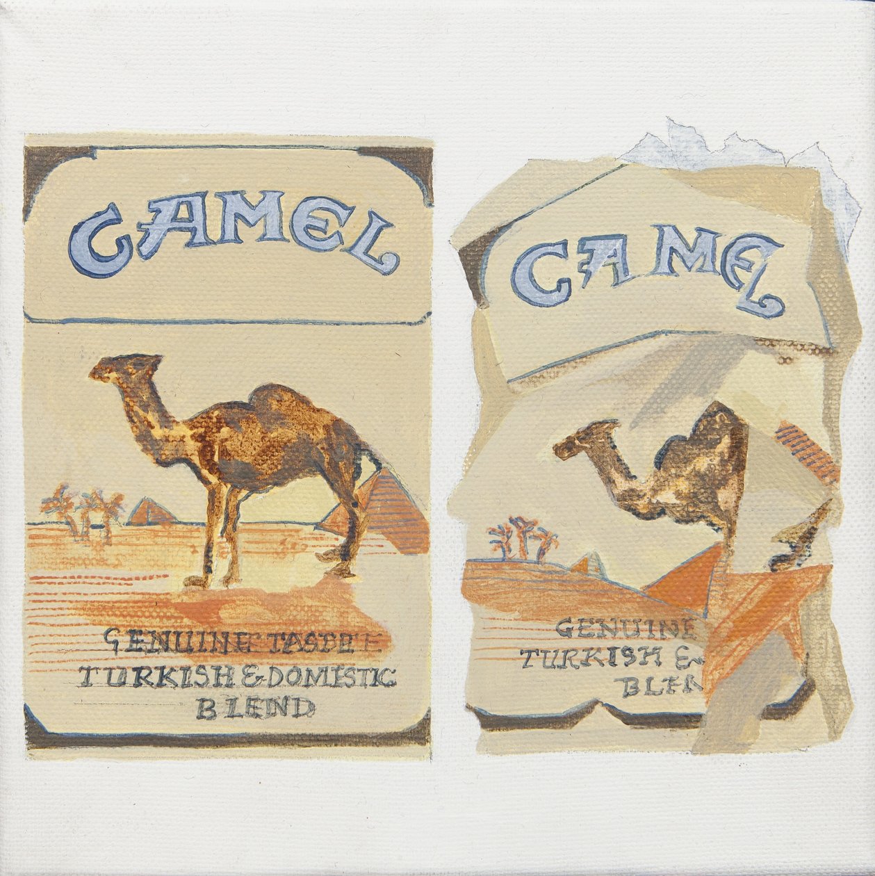 Paquets de cigarettes Camel - Jennifer Abbott