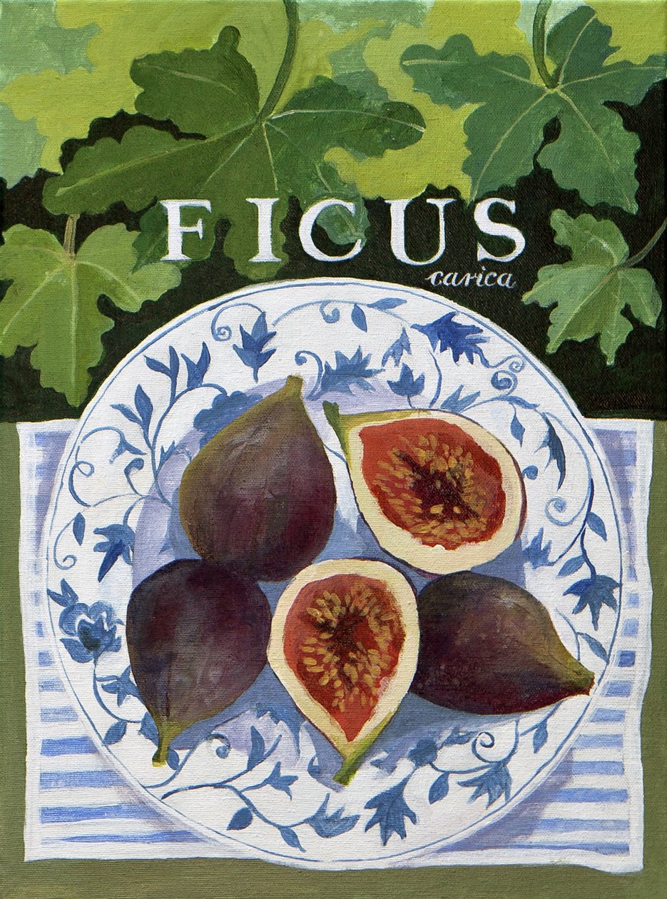 Fieus (figs), 2014 (acrylique sur toile) - Jennifer Abbott