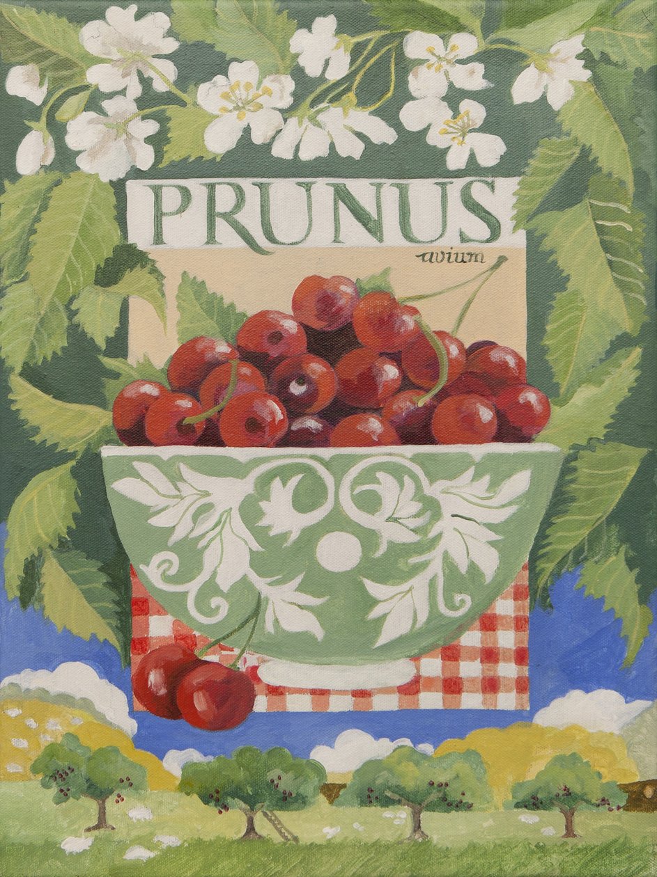 Prunus avium (acrylique) - Jennifer Abbott