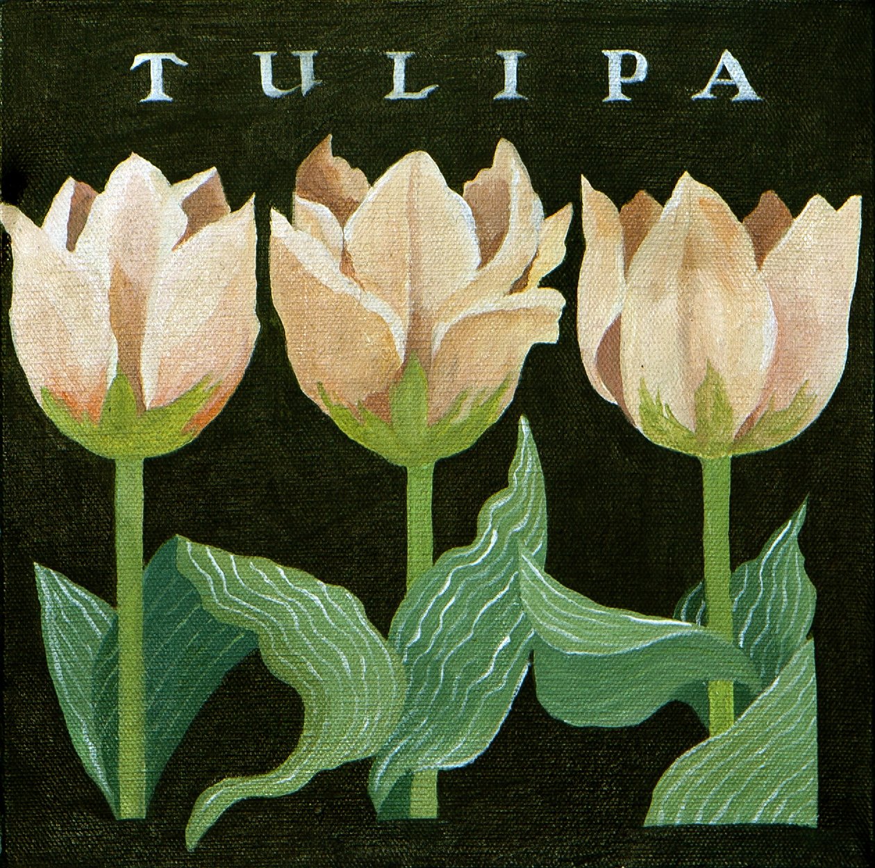 Tulipes, 2013 (acrylique sur toile) - Jennifer Abbott