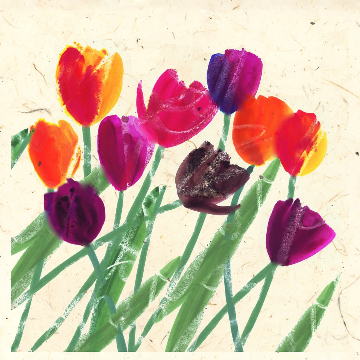 Beautés hollandaises - Jenny Frean