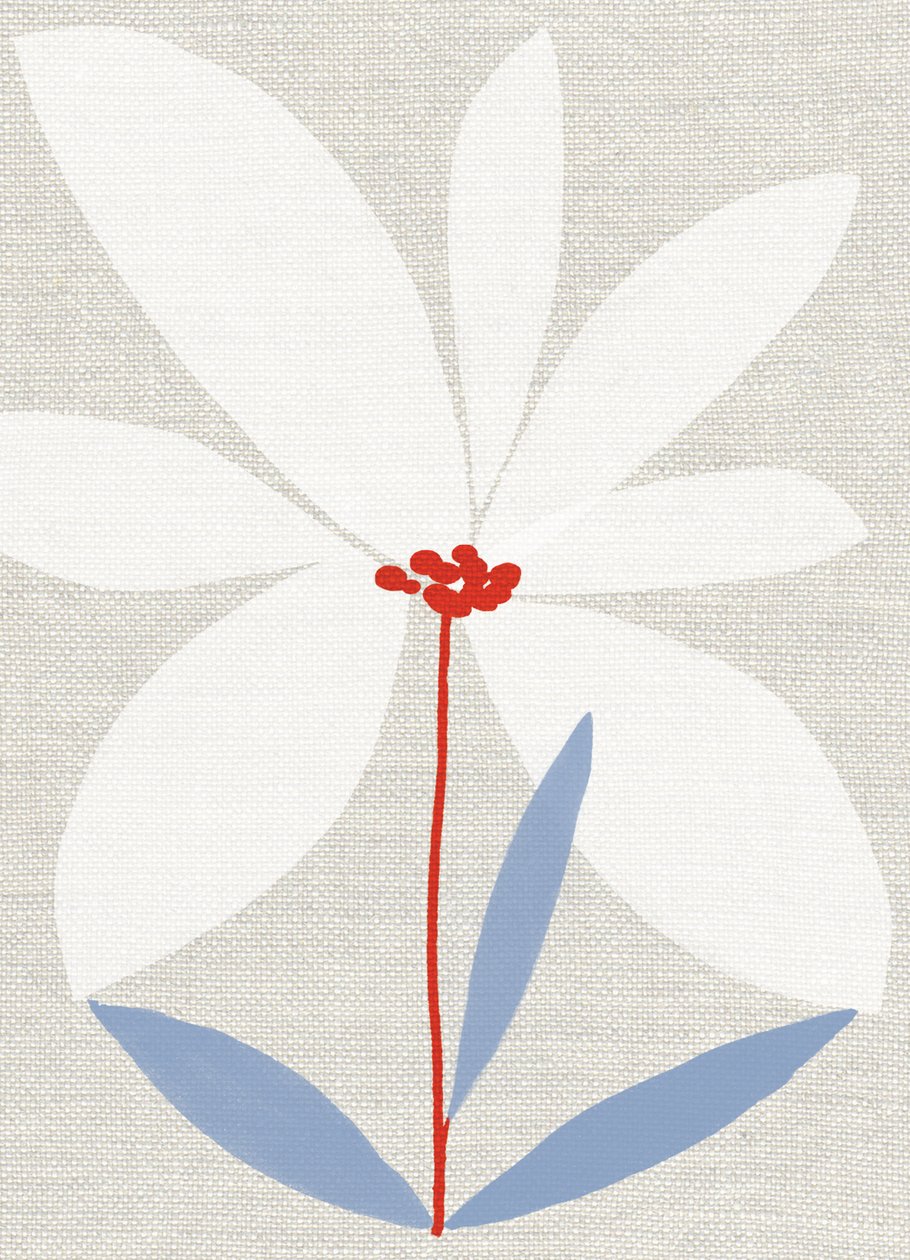 Marguerite imprimée - Jenny Frean