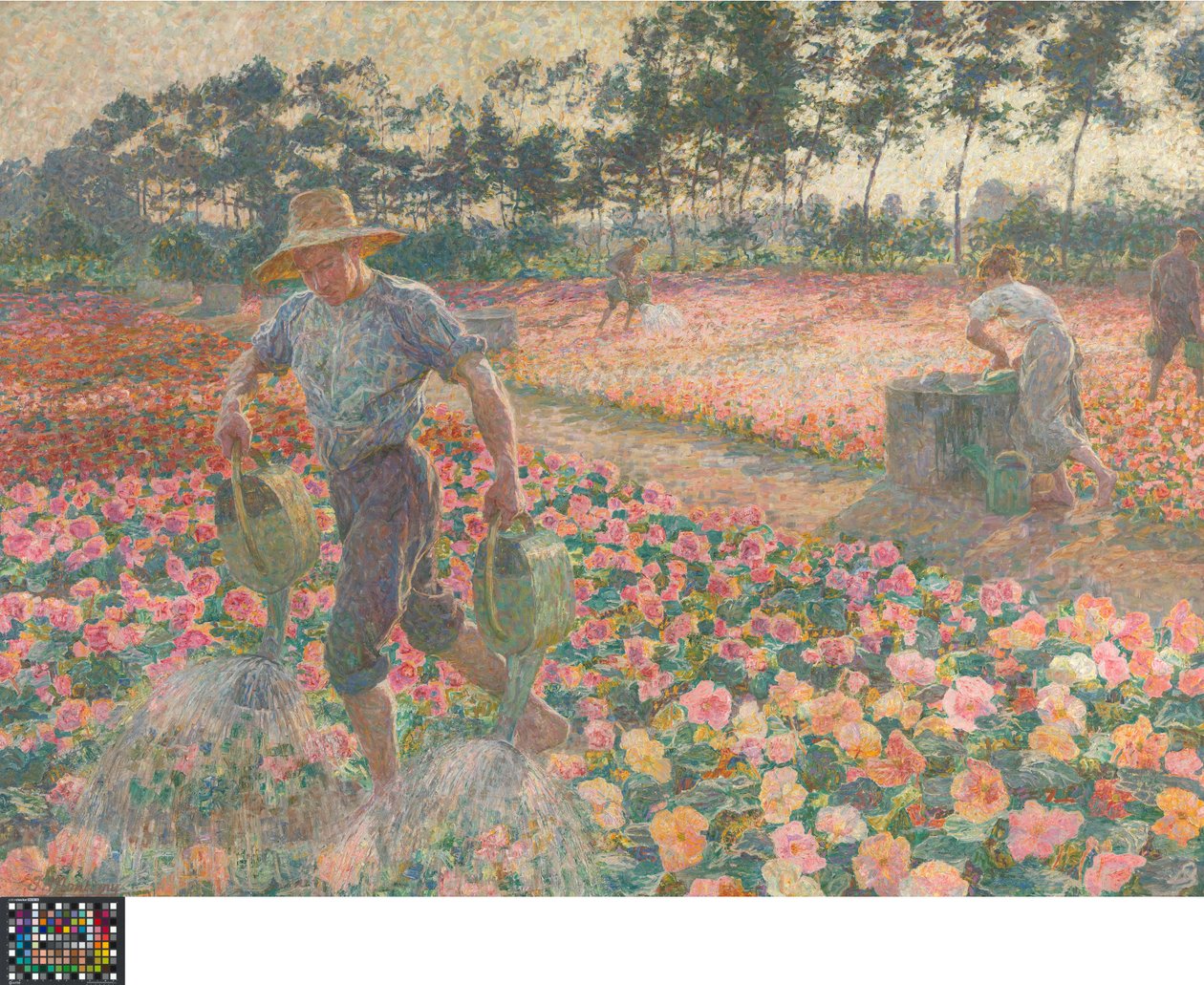 Les bégonias (Le jardinier) - Jenny Montigny