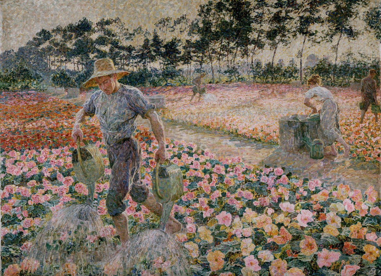 Les bégonias (Le jardinier) - Jenny Montigny