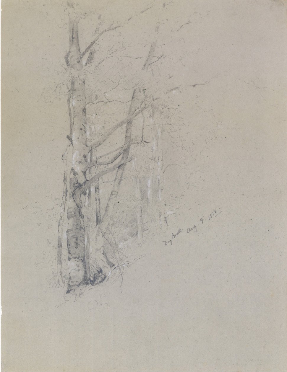 Ruisseau sec, 1888 - Jervis McEntee