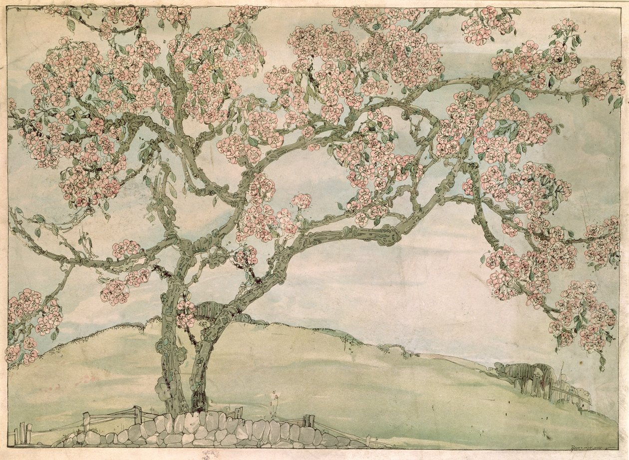 Fleur de pommier - Jessie Marion King