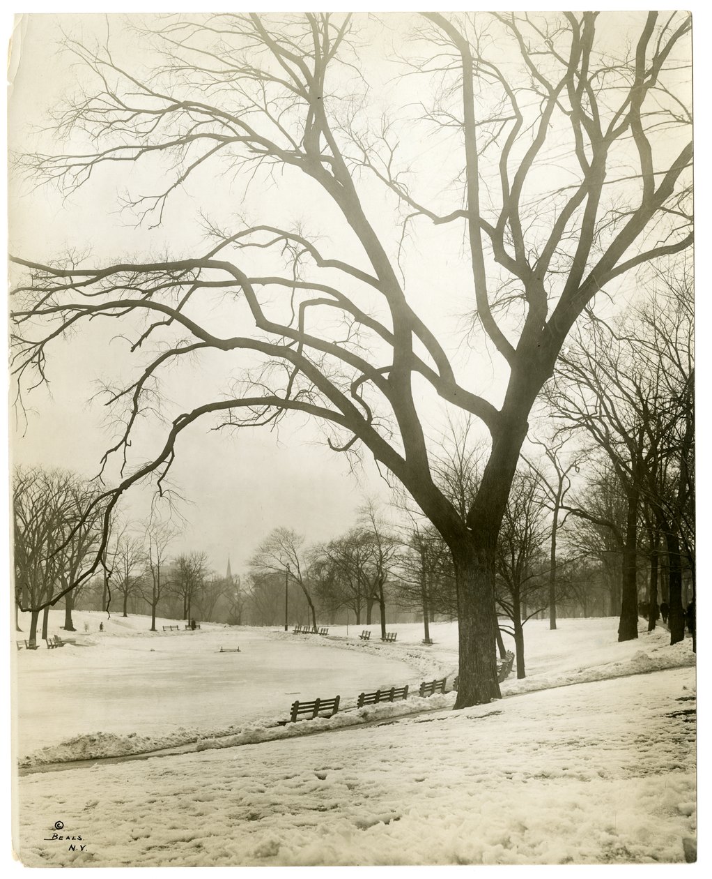 Boston Common et étang aux grenouilles, près de l