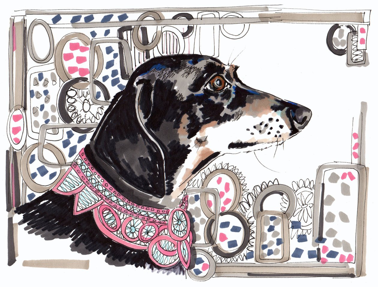 Lacey le teckel, 2013 - Jo Chambers
