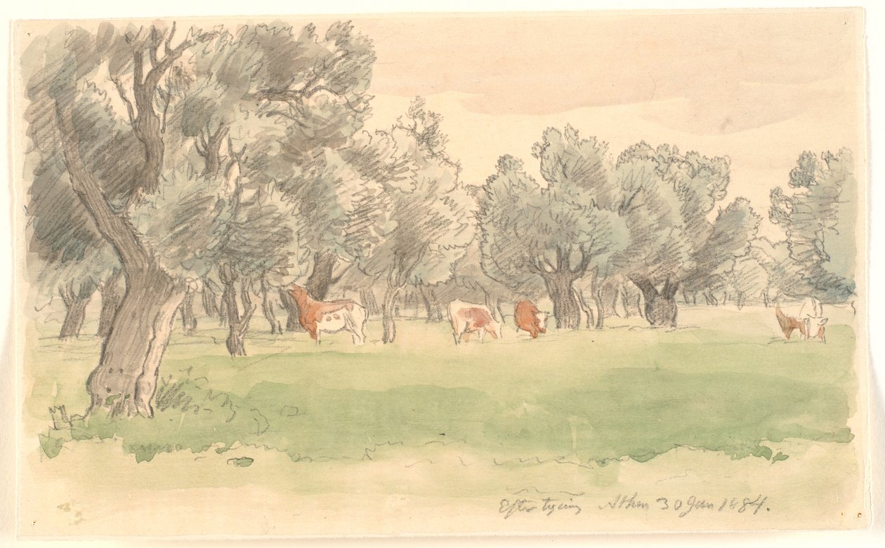 Paysage grec avec oliviers et bétail paissant - Joakim Frederik Skovgaard