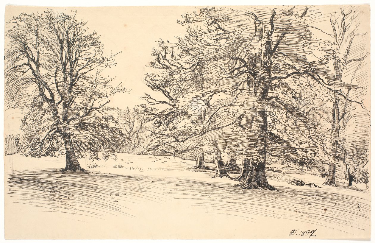Terrain légèrement incliné avec de grands arbres dispersés - Joakim Frederik Skovgaard