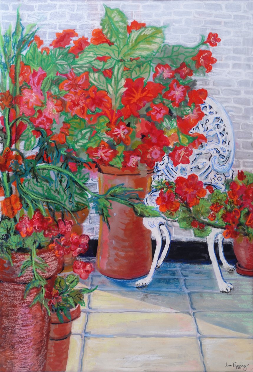 Géraniums et pétunias sur la terrasse, 2011 - Joan Thewsey
