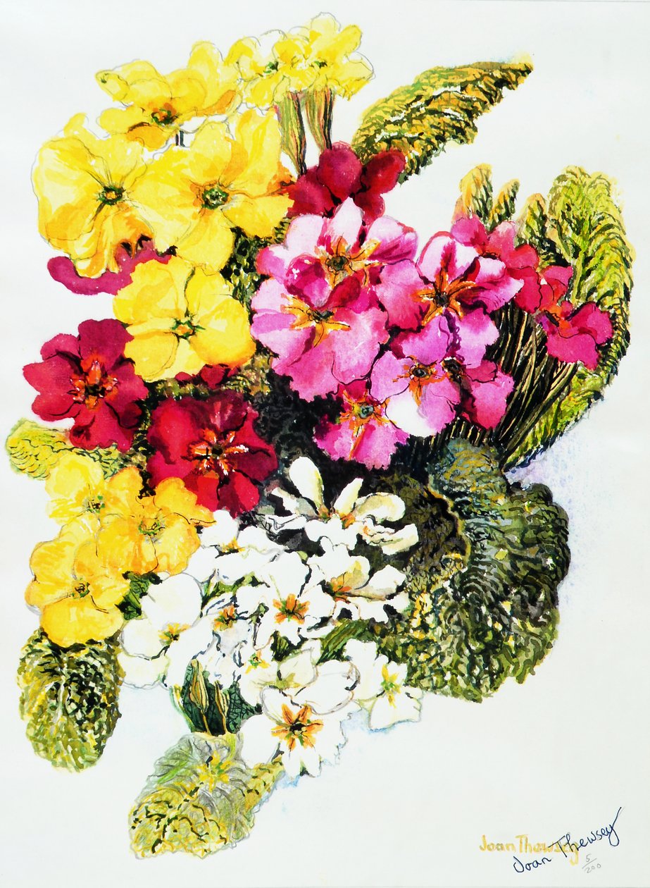 Primevères blanches, jaunes, roses et rouges, 2000 - Joan Thewsey