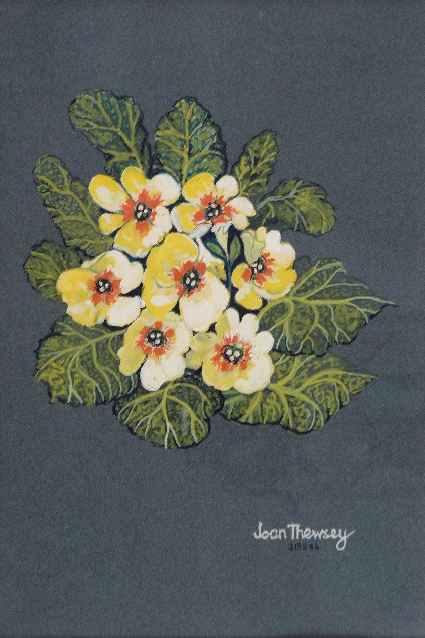 La Primevère Jaune 2012 - Joan Thewsey