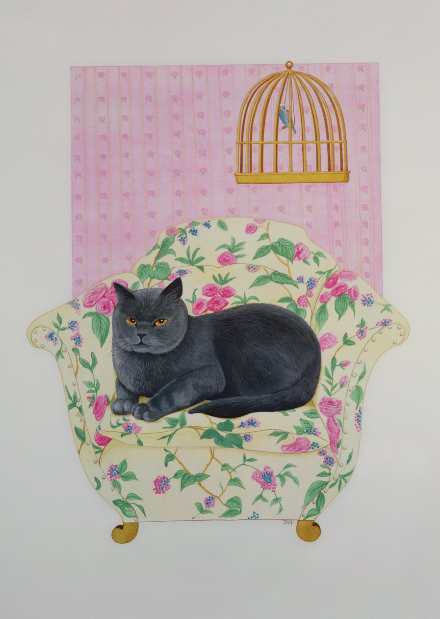 Bleu britannique - Joan Freestone