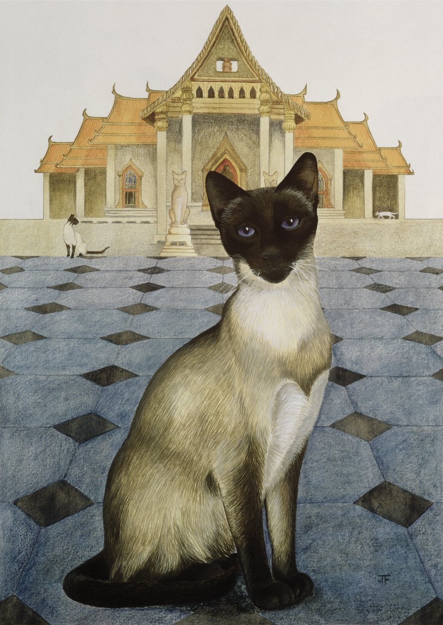 Siamois - Joan Freestone