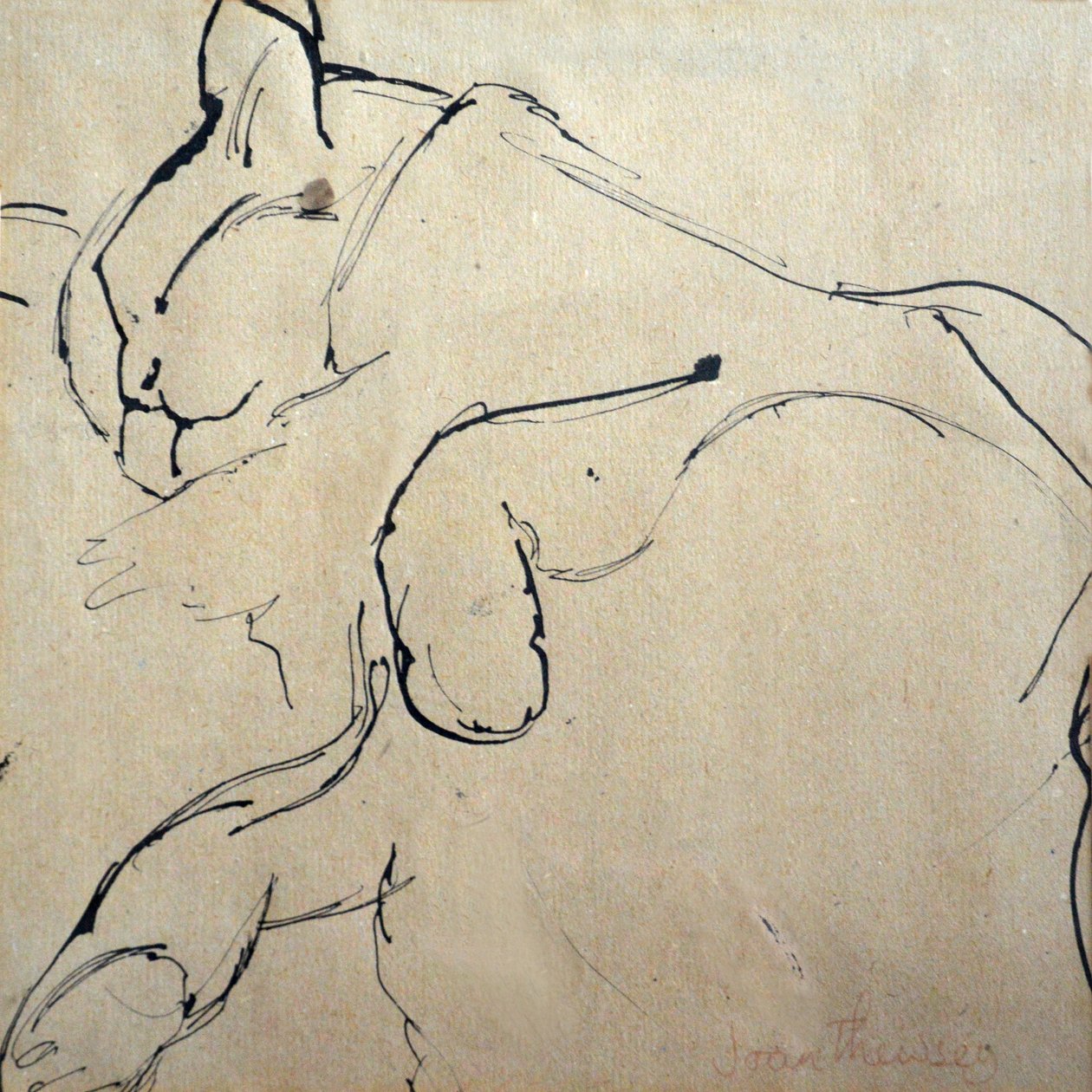 Chat, chasseur de souris - Joan Thewsey