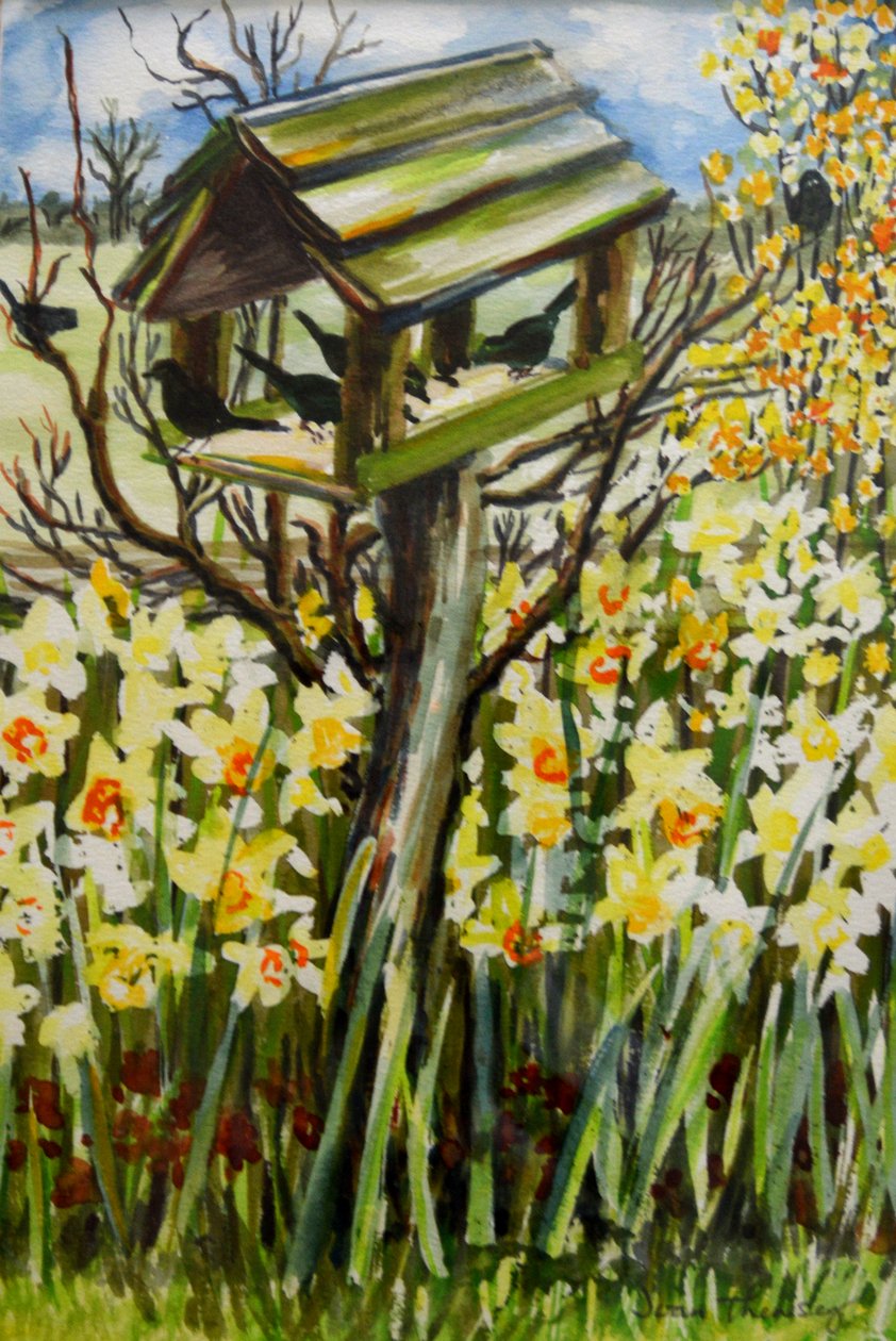Jonquilles et oiseaux dans la volière, 2000 (gouache) - Joan Thewsey