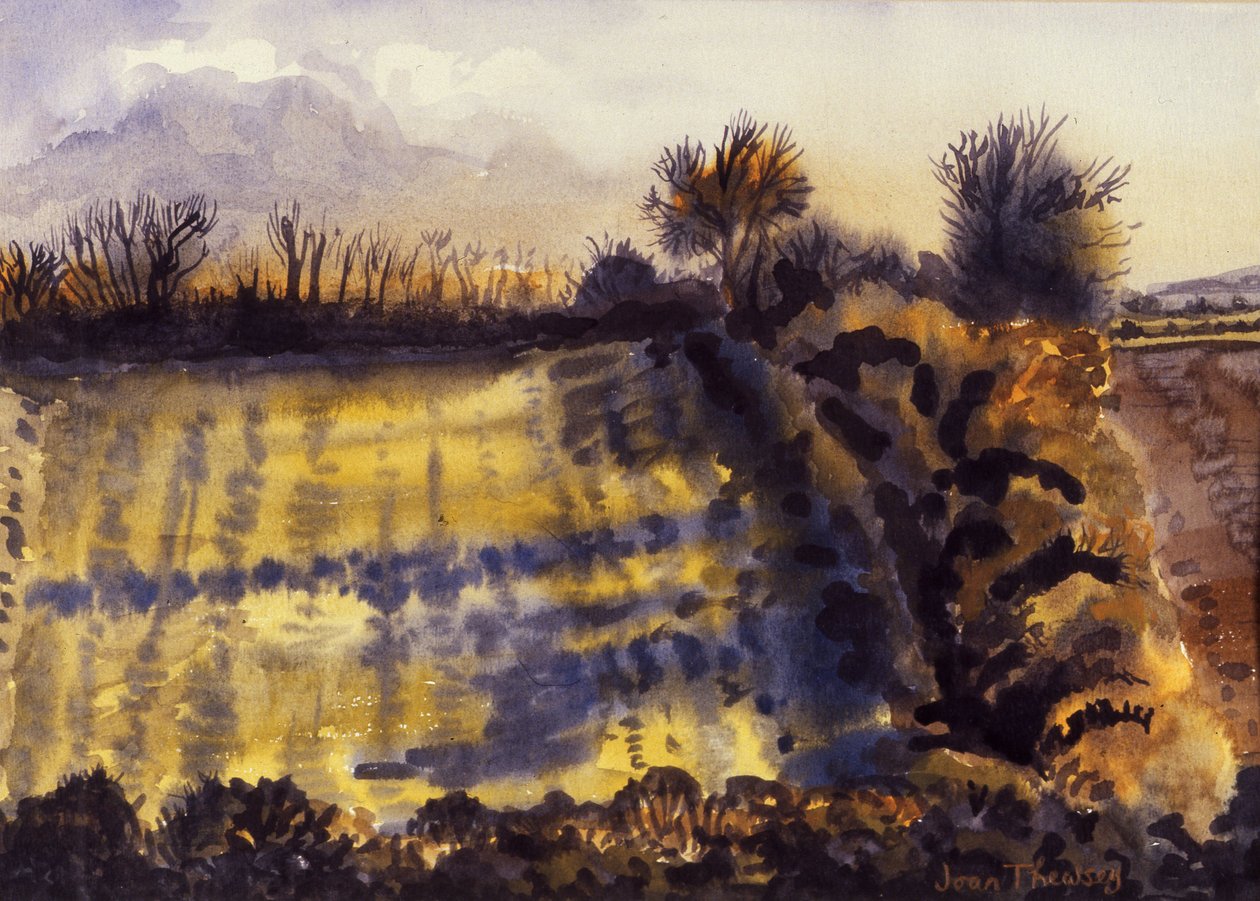Champ avec longues ombres, 1990 - Joan Thewsey