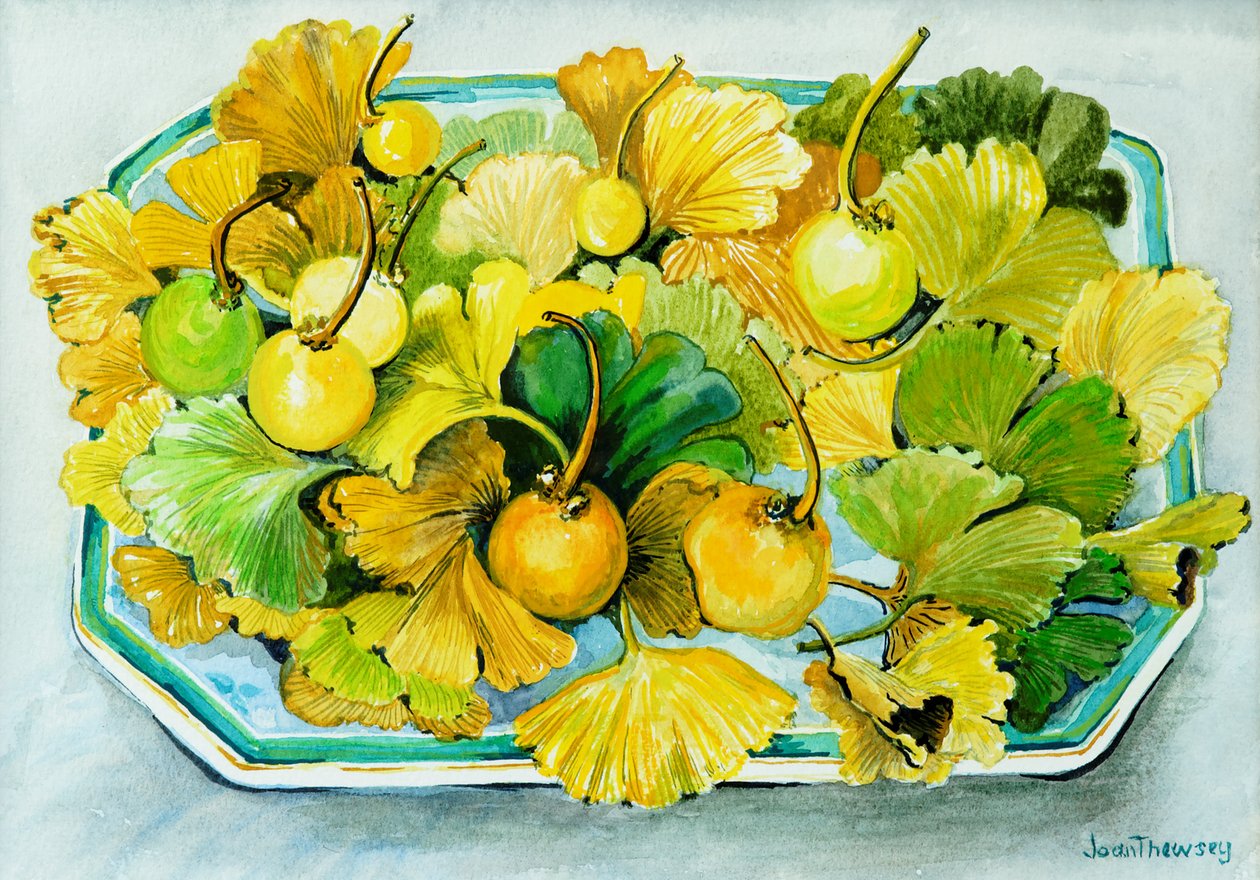 Ginkgo, fruits et feuilles - Joan Thewsey