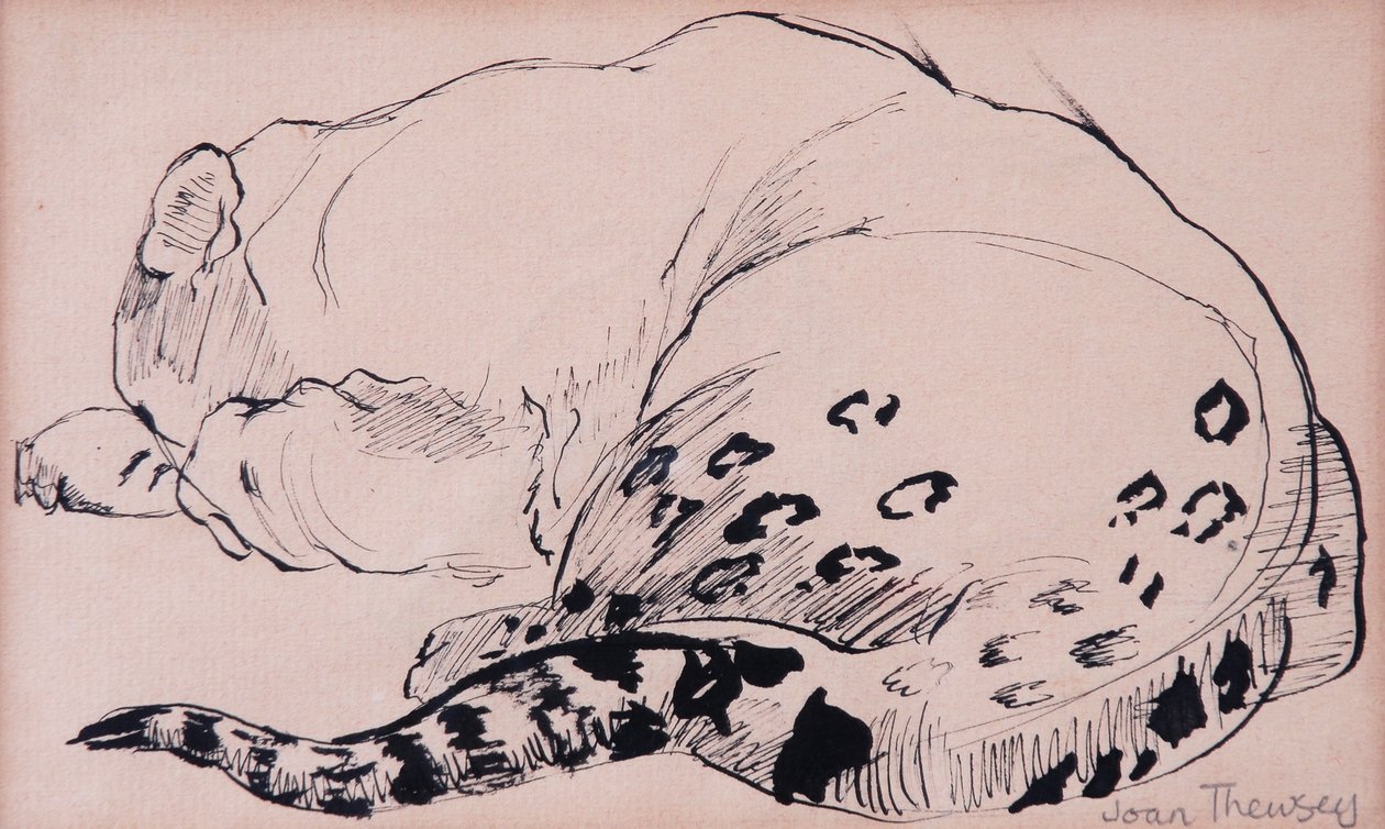 Croquis, léopard, zoo de Londres - Joan Thewsey