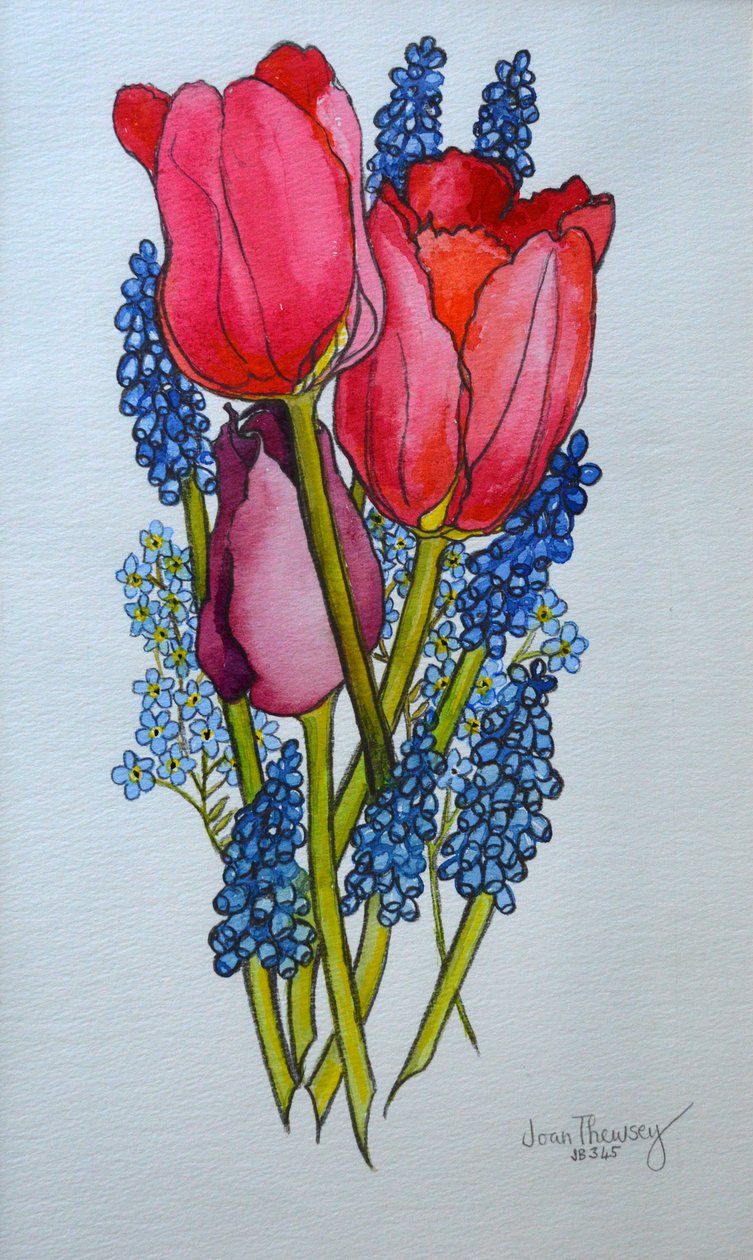 Tulipes, muscaris et myosotis - Joan Thewsey