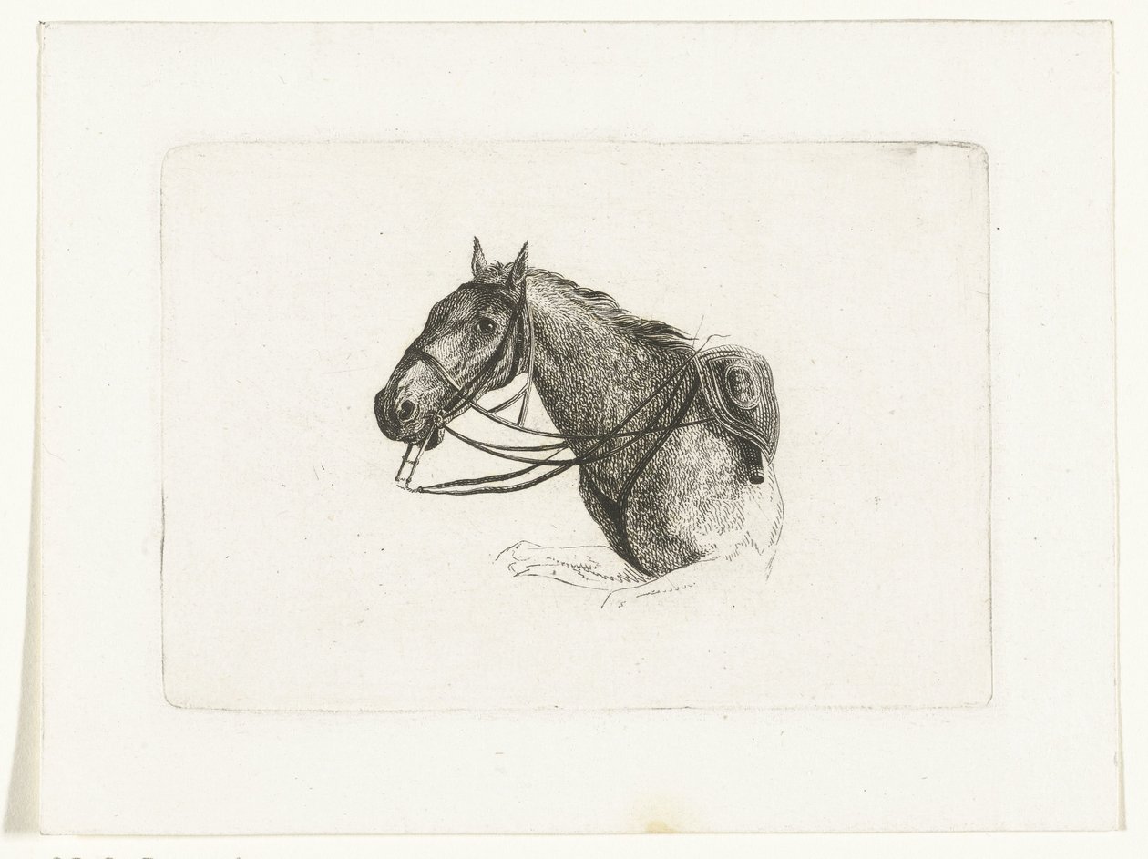 Tête de cheval vers la gauche - Joannes Bemme