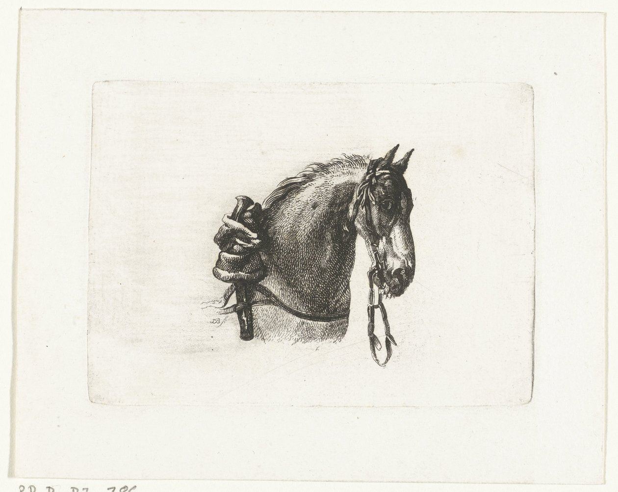 Tête de cheval vers la droite - Joannes Bemme