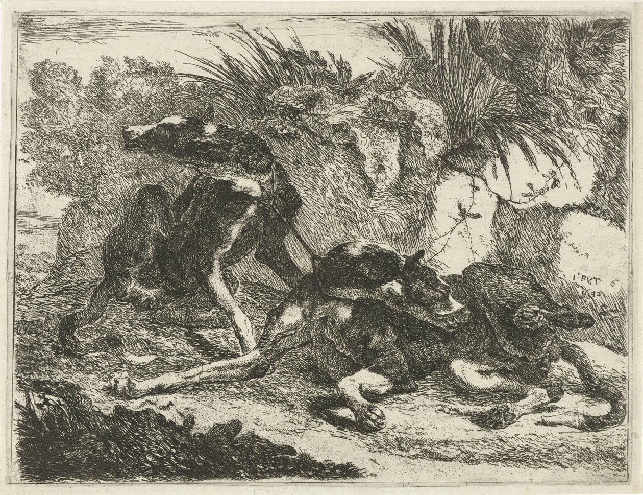 Deux chiens | Joannes Fijt | Estampe d'art
