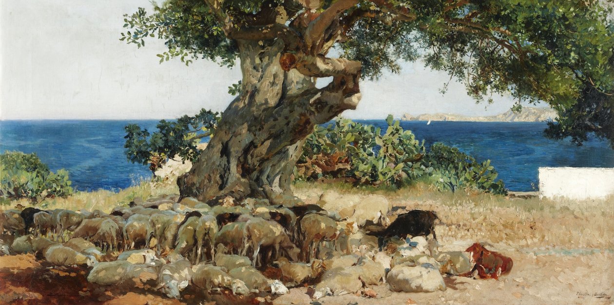 Caroubier - Joaquín Sorolla