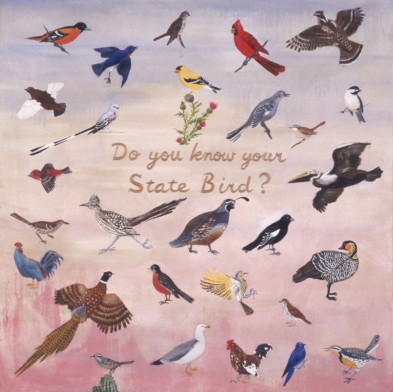 Connaissez-vous votre oiseau d