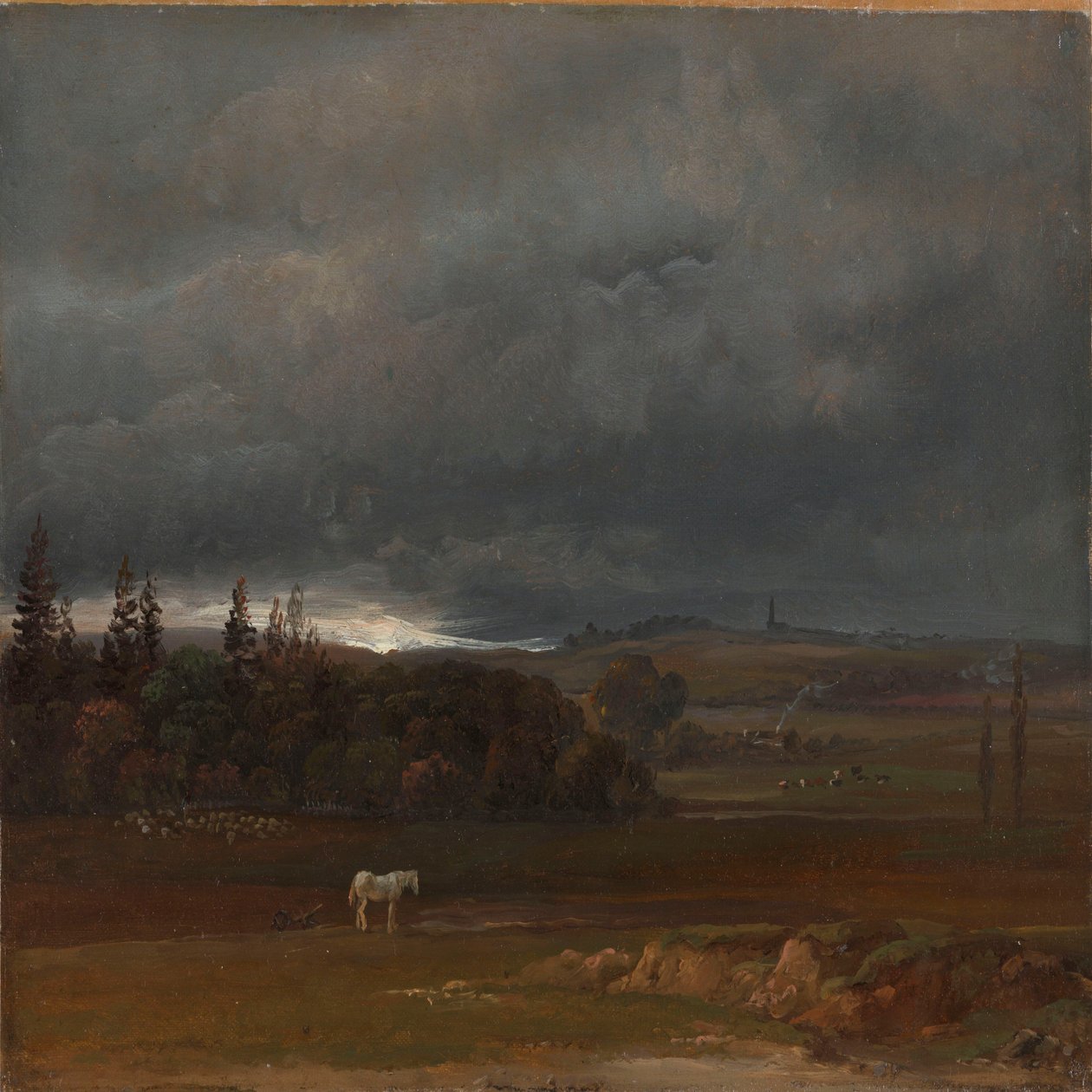 Champ près de Dresde avec cheval blanc - Johan Christian Dahl