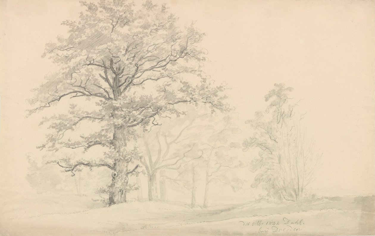 arbres à feuilles caduques - Johan Christian Dahl