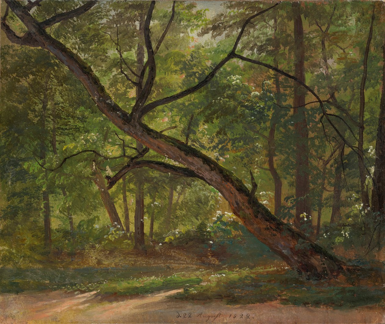 Vue dans le Grand Jardin près de Dresde - Johan Christian Dahl