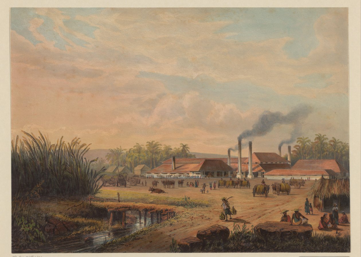 Vue de l