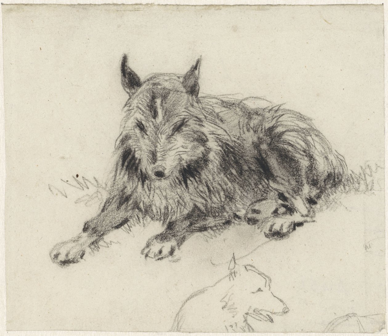 Chien de berger couché - Johan Daniël Koelman