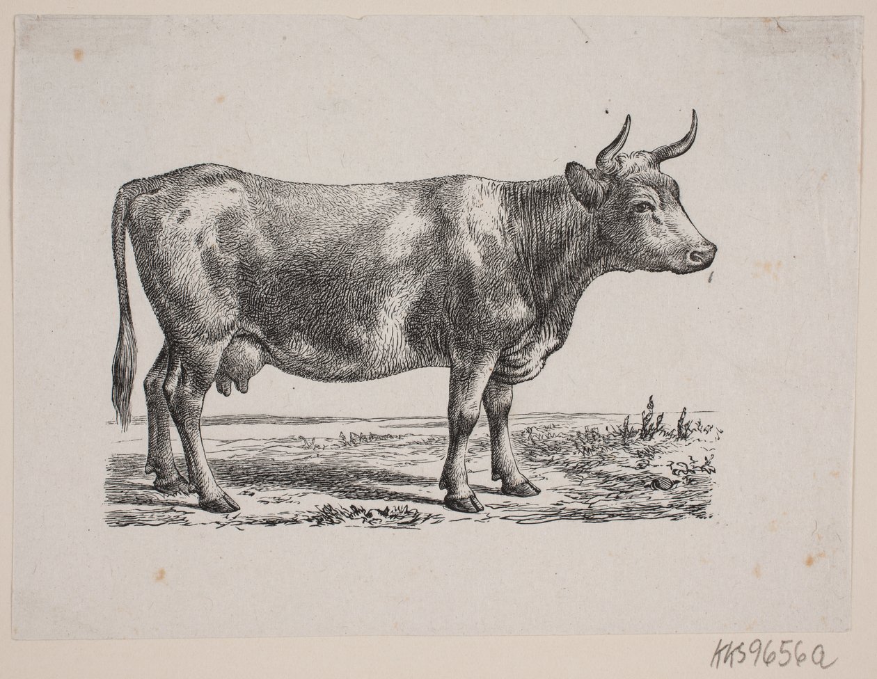 Une vache - Johan Frederik Rosenstand