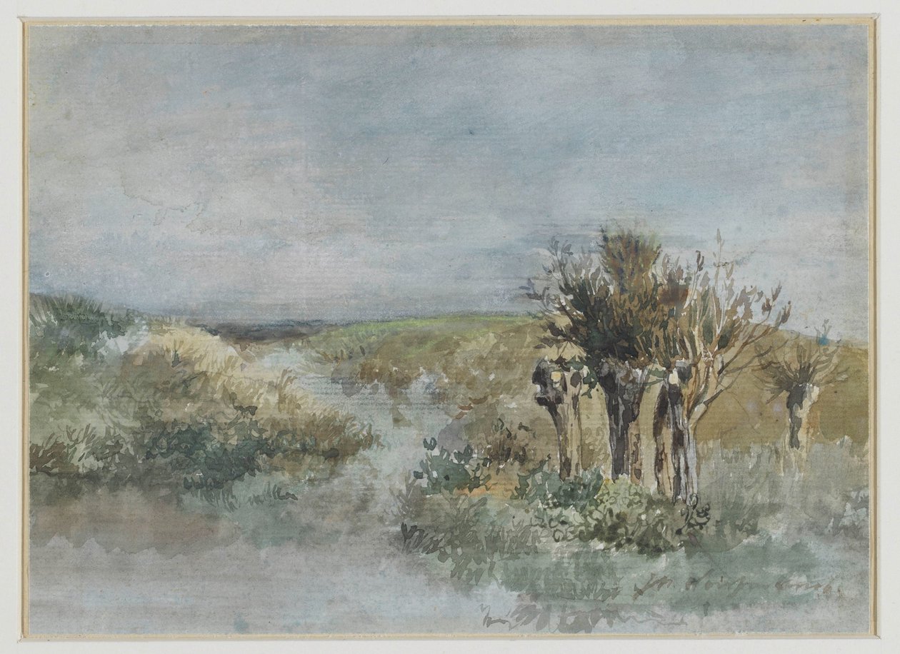Paysage avec saules têtards le long d